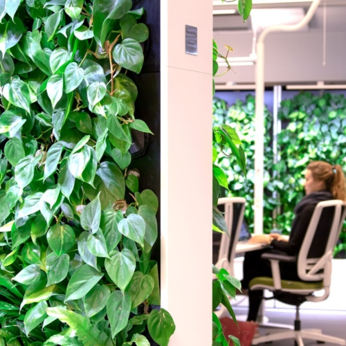 Naava Healthtech Green Wall - 0