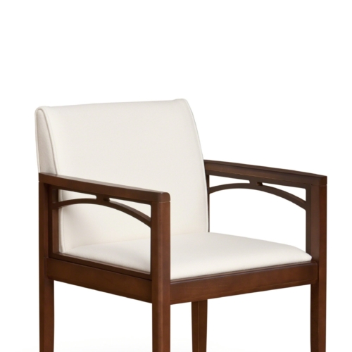 Collaboration Guest Chair - 6