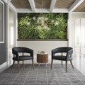 Kimball Health by Nash Guest