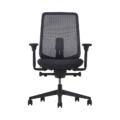 Herman Miller by Verus Chair