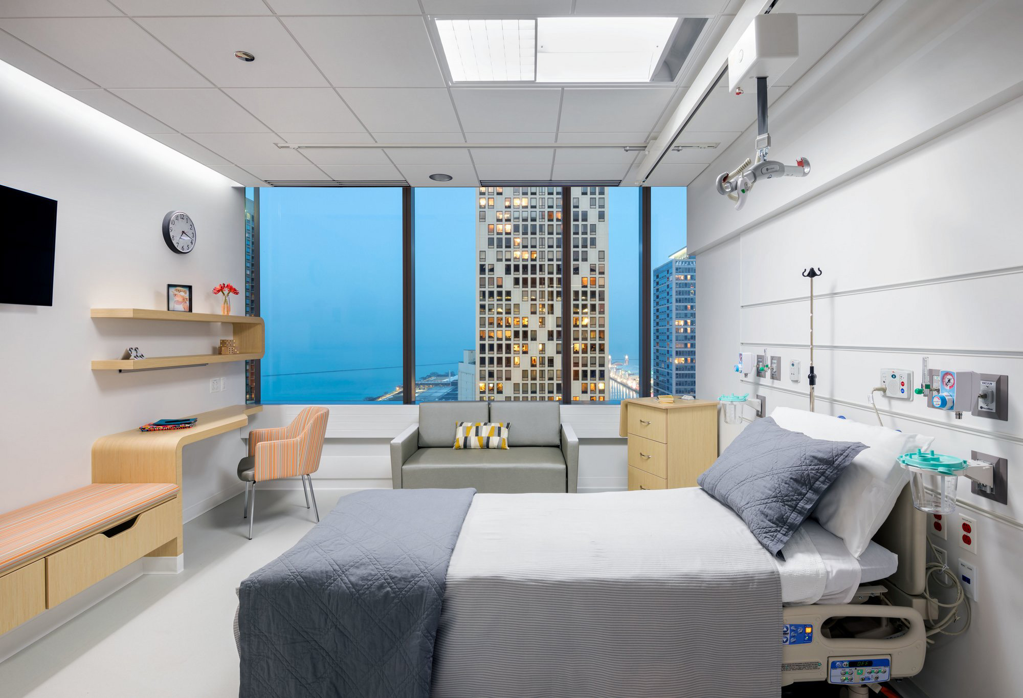 Shirley Ryan AbilityLab Healthcare Snapshots