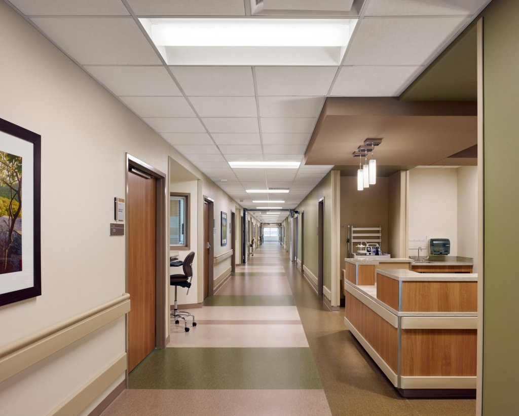 Dell Seton Medical Center at the University of Texas - Healthcare Snapshots