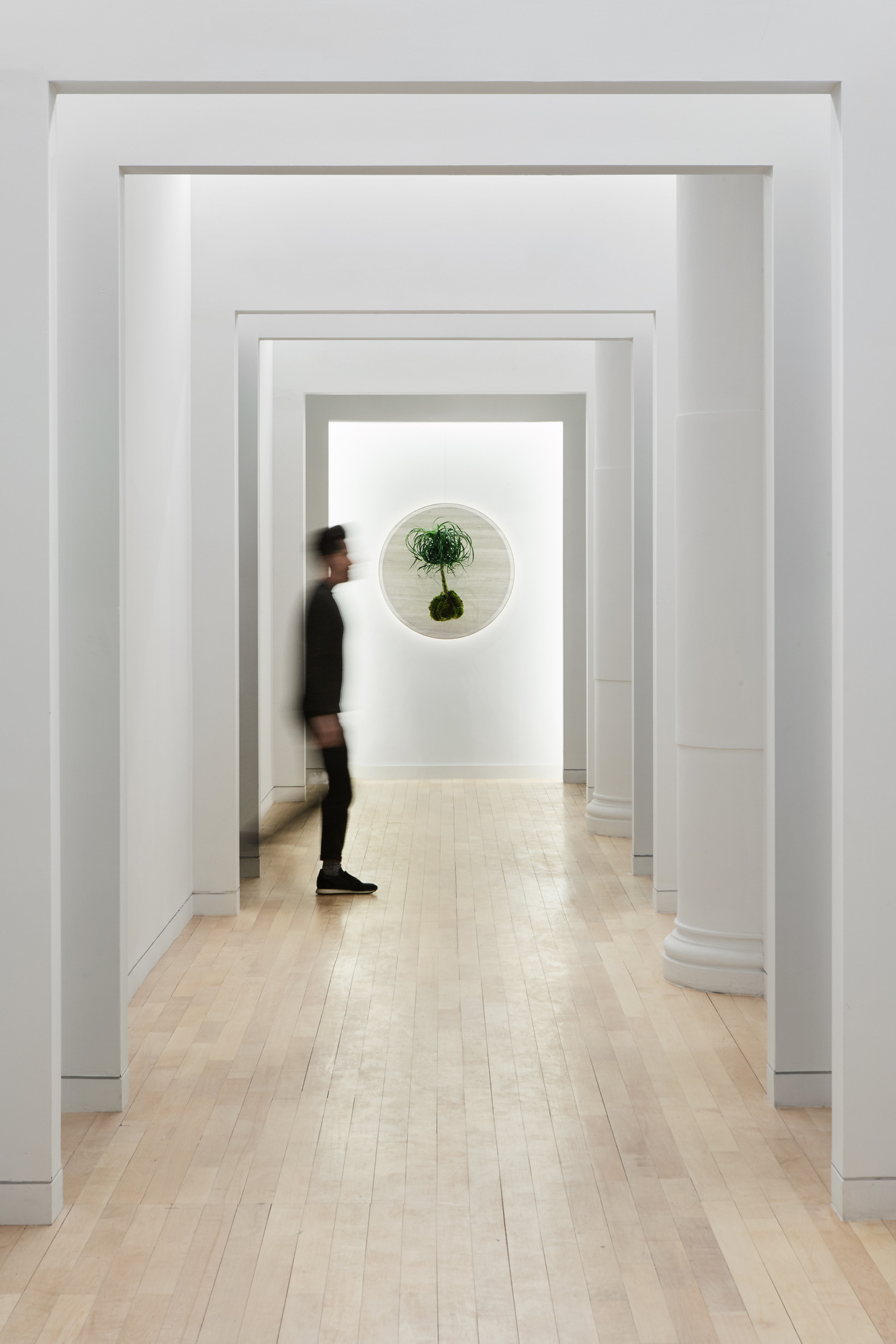 Parsley Health's NYC Flagship Center Healthcare Snapshots