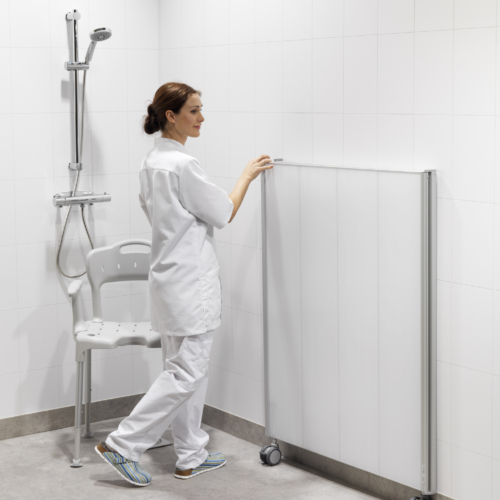 Shower Screens Healthcare Snapshots
