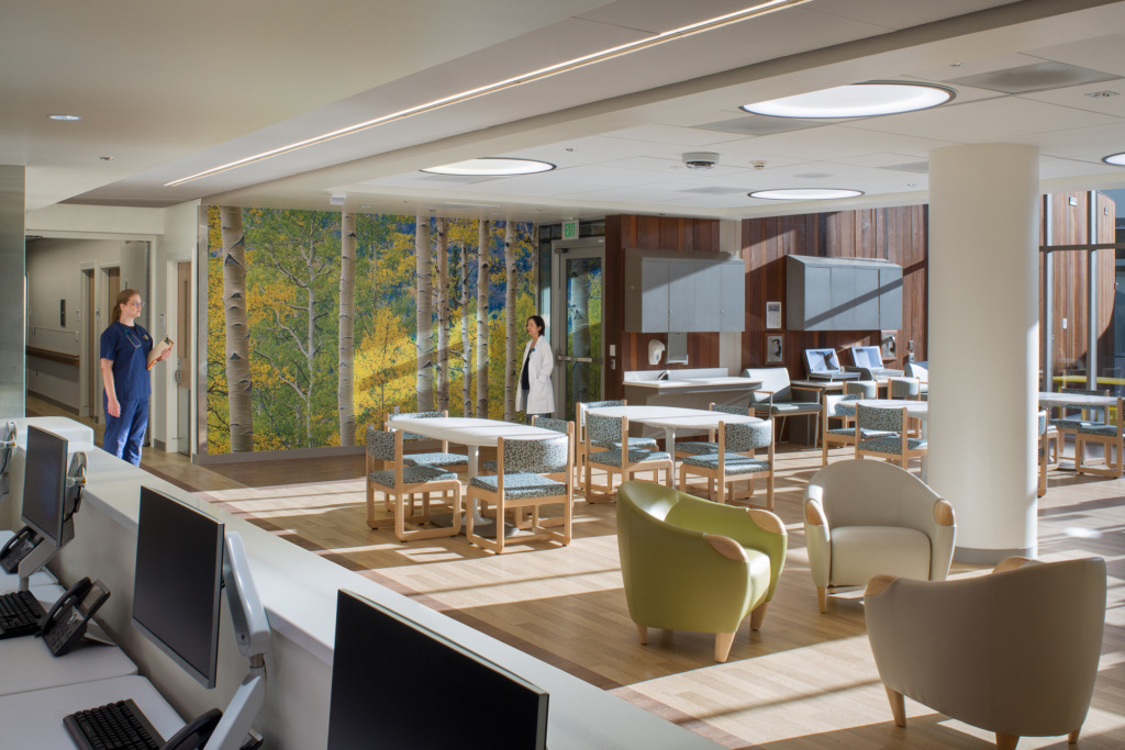 Kaiser Fremont Acute Medical Psychiatric Facility Healthcare Snapshots