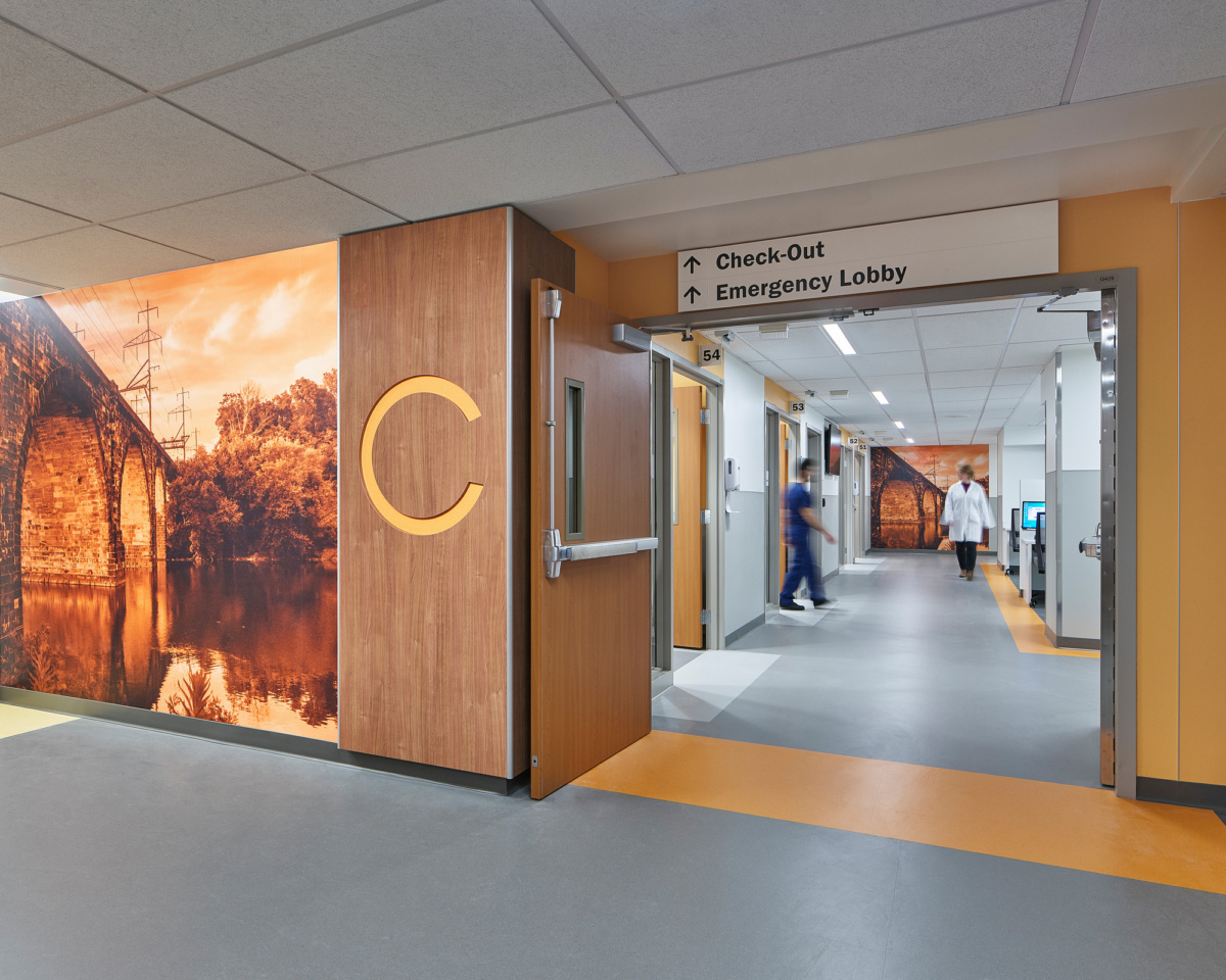 Main Line Health Lankenau Medical Center Emergency Department Healthcare Snapshots