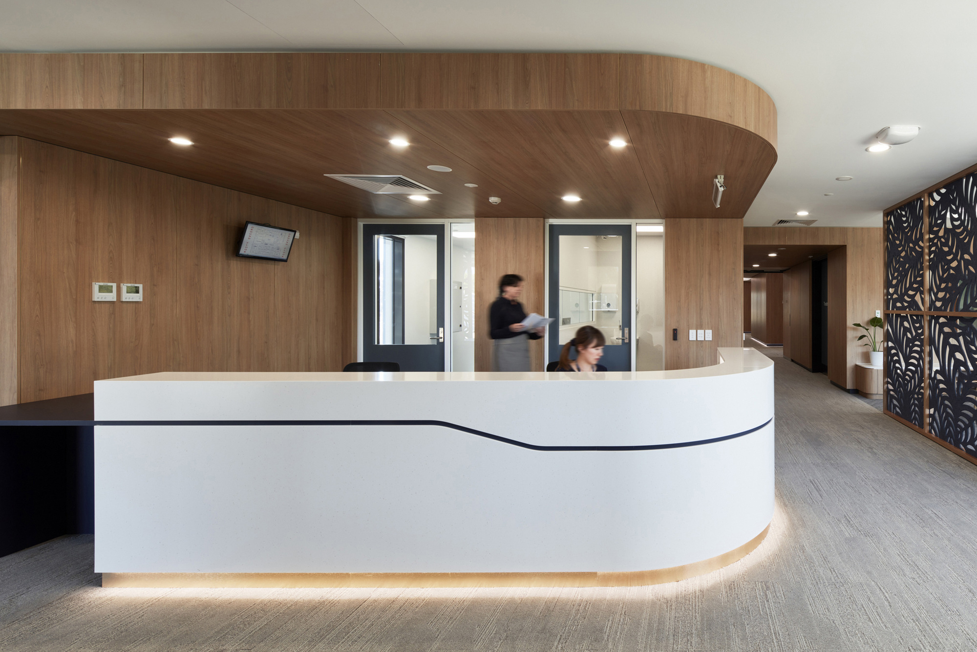 The Adelaide Clinic Healthcare Snapshots