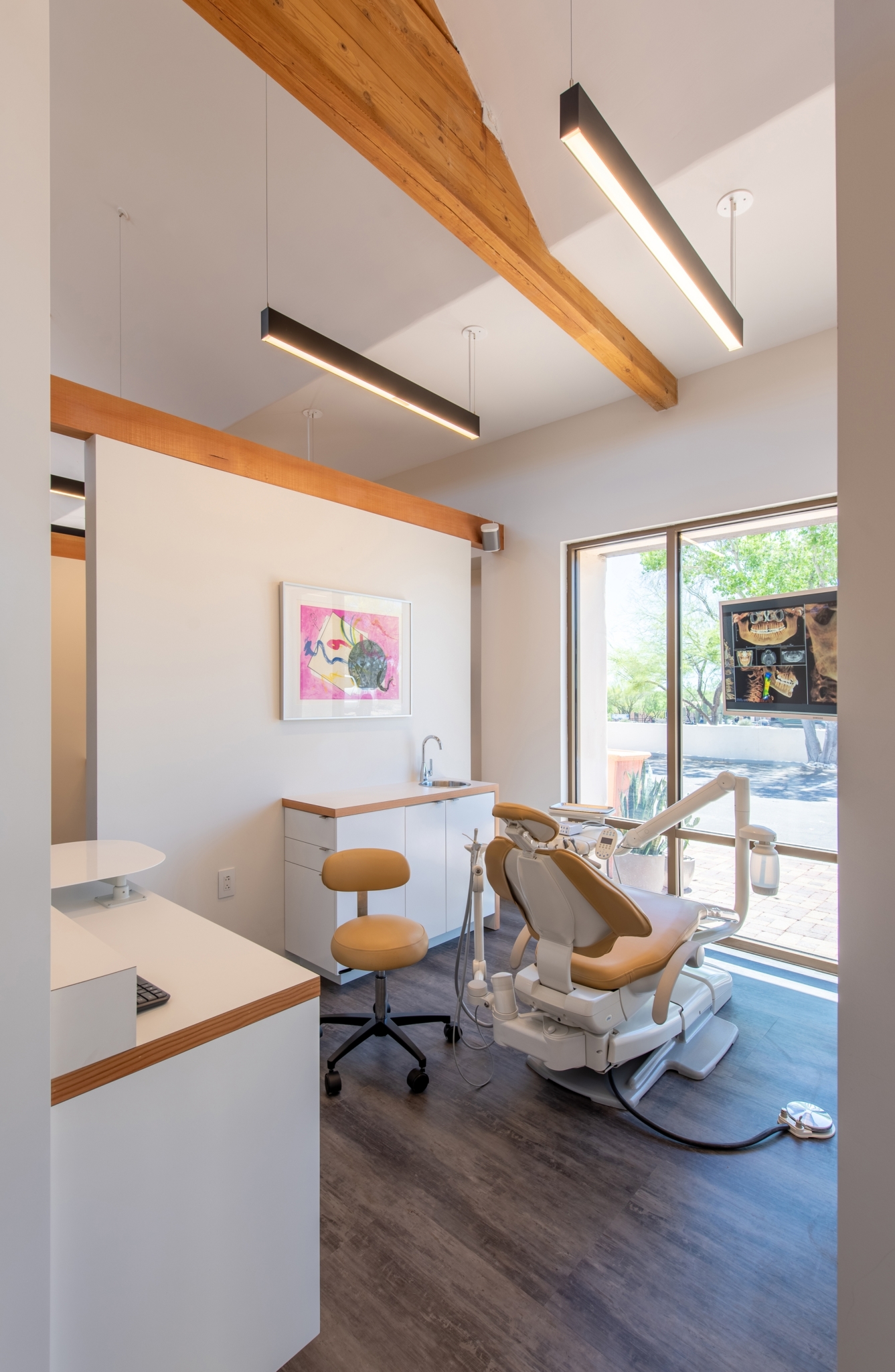 Skyline Dental Healthcare Snapshots