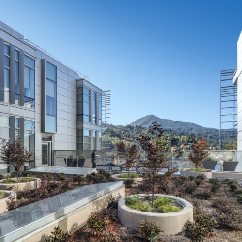 recent MarinHealth Medical Center – Oak Pavilion healthcare design projects