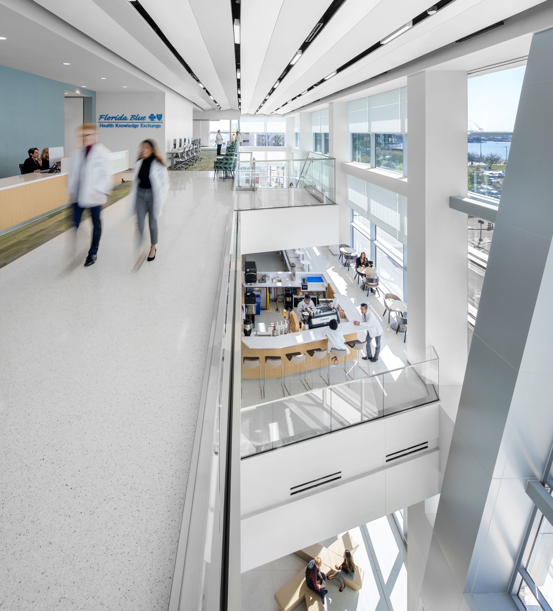 University Of South Florida Health Morsani College Of Medicine And