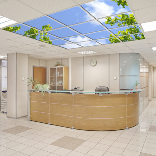 LED Skylights by Artificial Sky