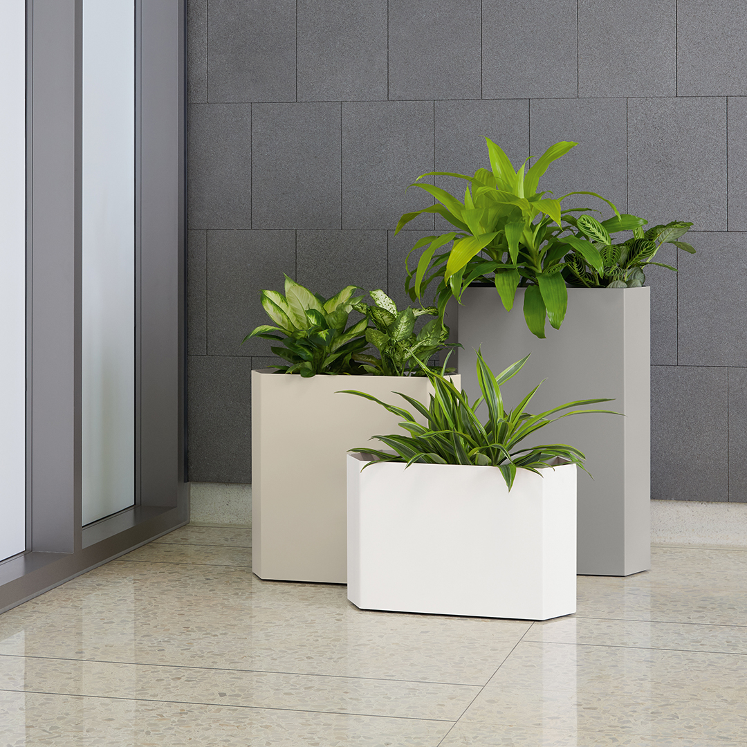 View of Hexadecimal Planters - Healthcare Snapshots
