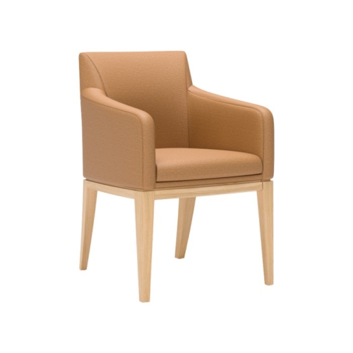 Elide Chair by Carolina