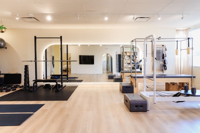 The Cheerful Pelvis - 0