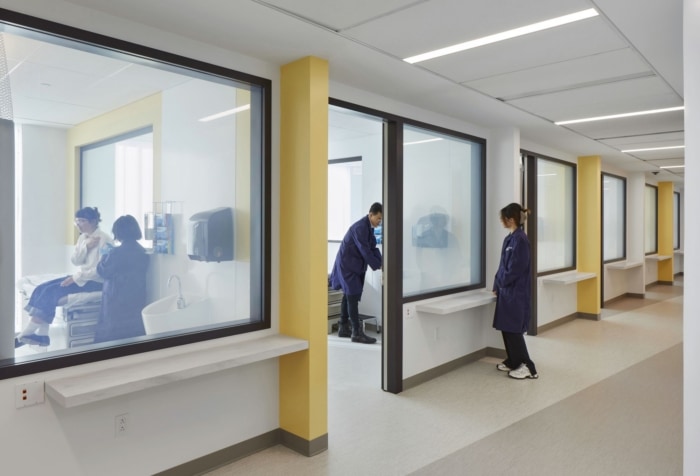 Toronto Metropolitan University - School of Medicine Phase One - 0